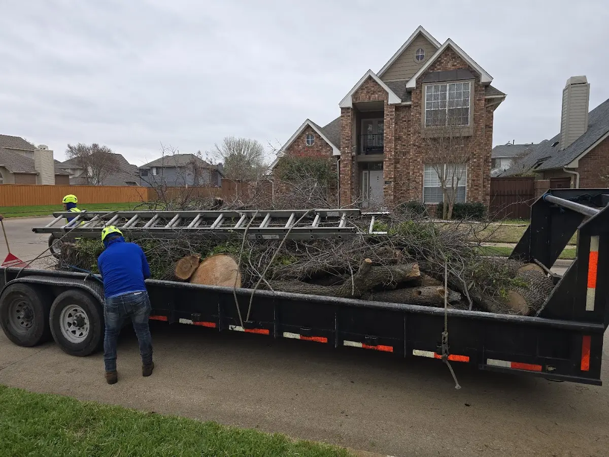 Expert Tree Removal with proper safety equipment in Cherokee Village